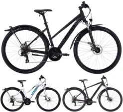 Bulls Wildcross Street 2022