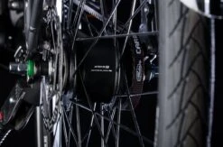 Bulls Lacuba-Evo Lite 5-Gang 2019 -Default Template 1 Inter5