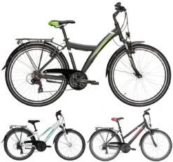 Pegasus Avanti 2019 21-Gang