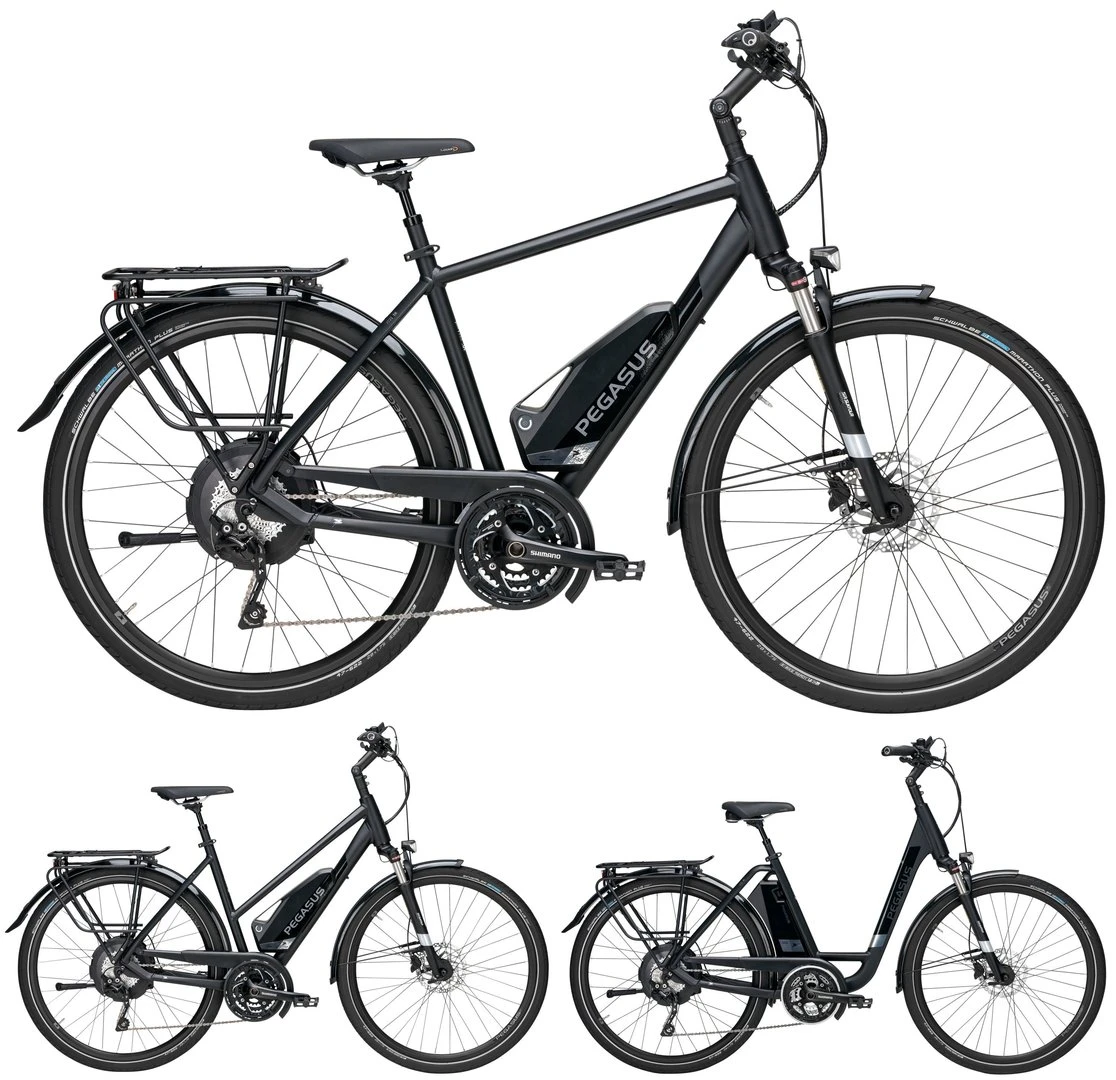 Pegasus Lavida-Plus 30-Gang 2019 1 Pegasus Lavida-Plus 30-Gang 2019