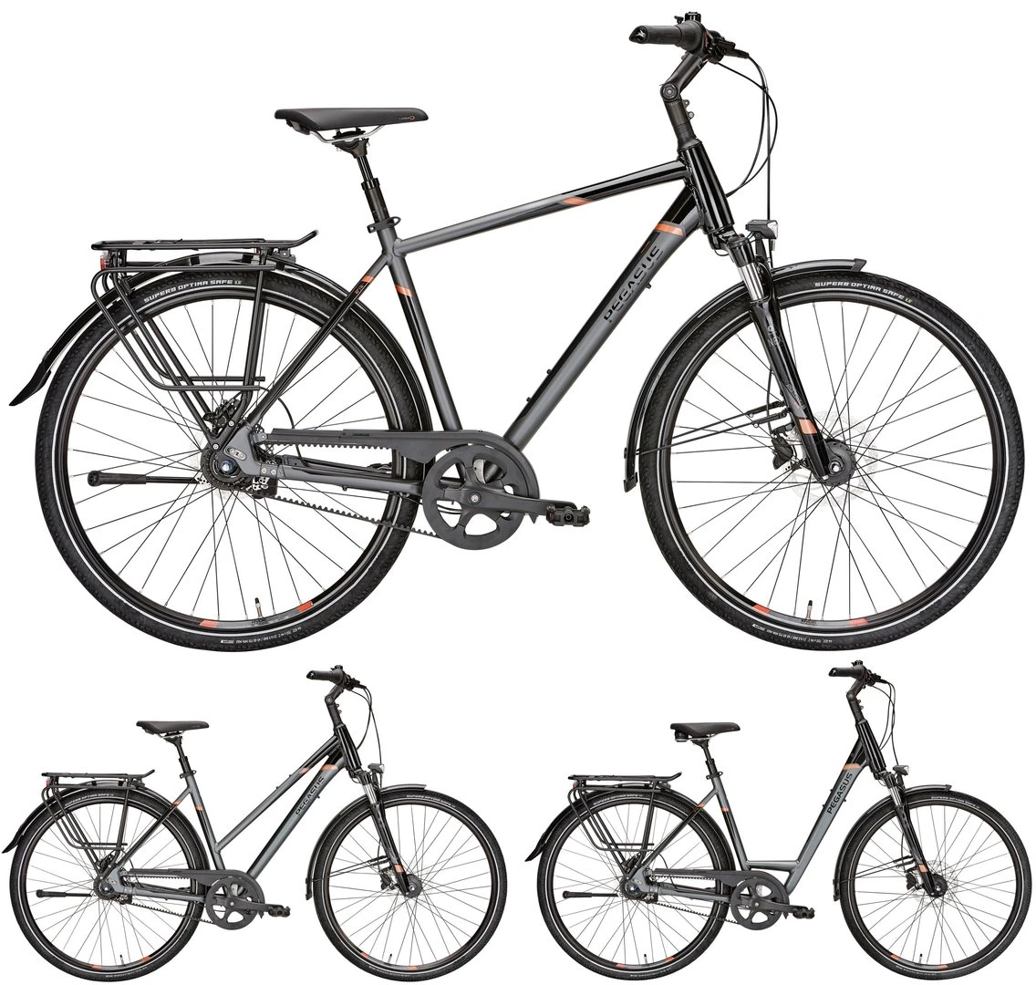 Pegasus Premio SL-Belt 2019 8-Gang 1 Pegasus Premio SL-Belt 2019 8-Gang