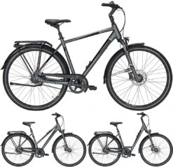 Pegasus Premio SL-Belt 2020-2021 8-Gang