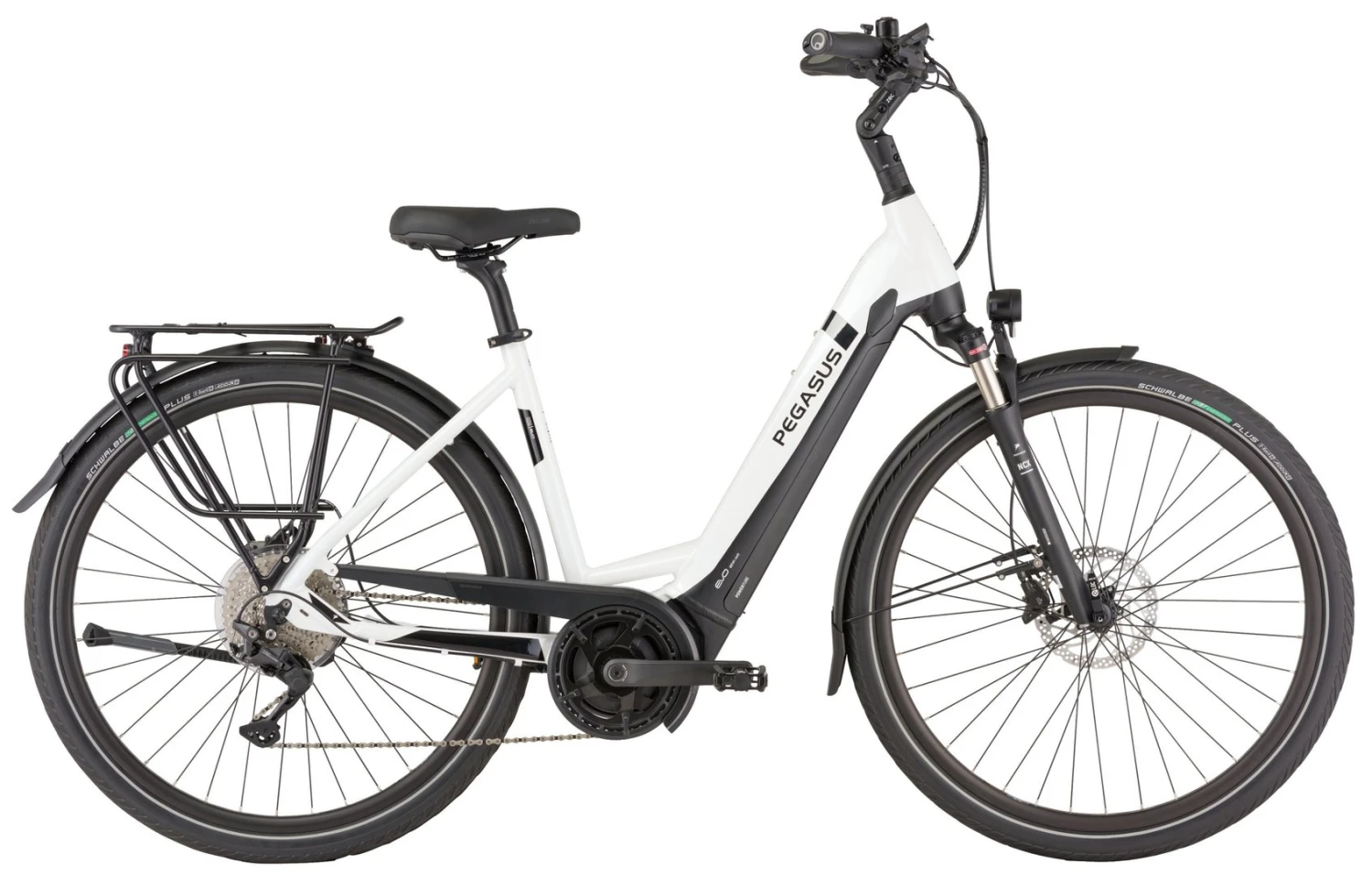 Pegasus Strong Evo-10 2021 4 Pegasus Strong Evo-10 2021 – Bild 4