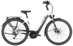 Pegasus Strong-Evo-10 2022 -Default Template 1 Pegasus Strong Evo 10 2022 Tiefeinstieg Unisex Damen Wave metallic off white black matt weiss schwarz 644 645 646 55845 55850 55855 55860