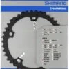 Shimano Alfine 42 Zähne Schwarz Y-1PB42010